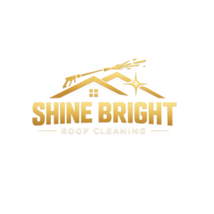 shinebrightroofcleaning.co.uk